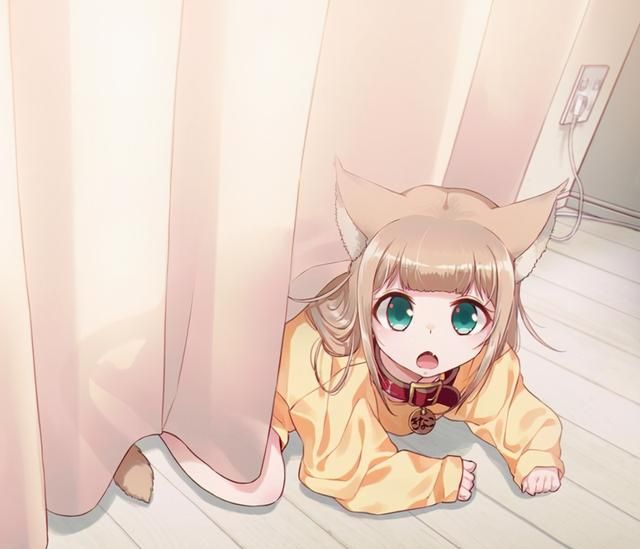 关于猫娘的那些趣事猫娘有几只耳朵猫娘和猫耳娘有什么区别