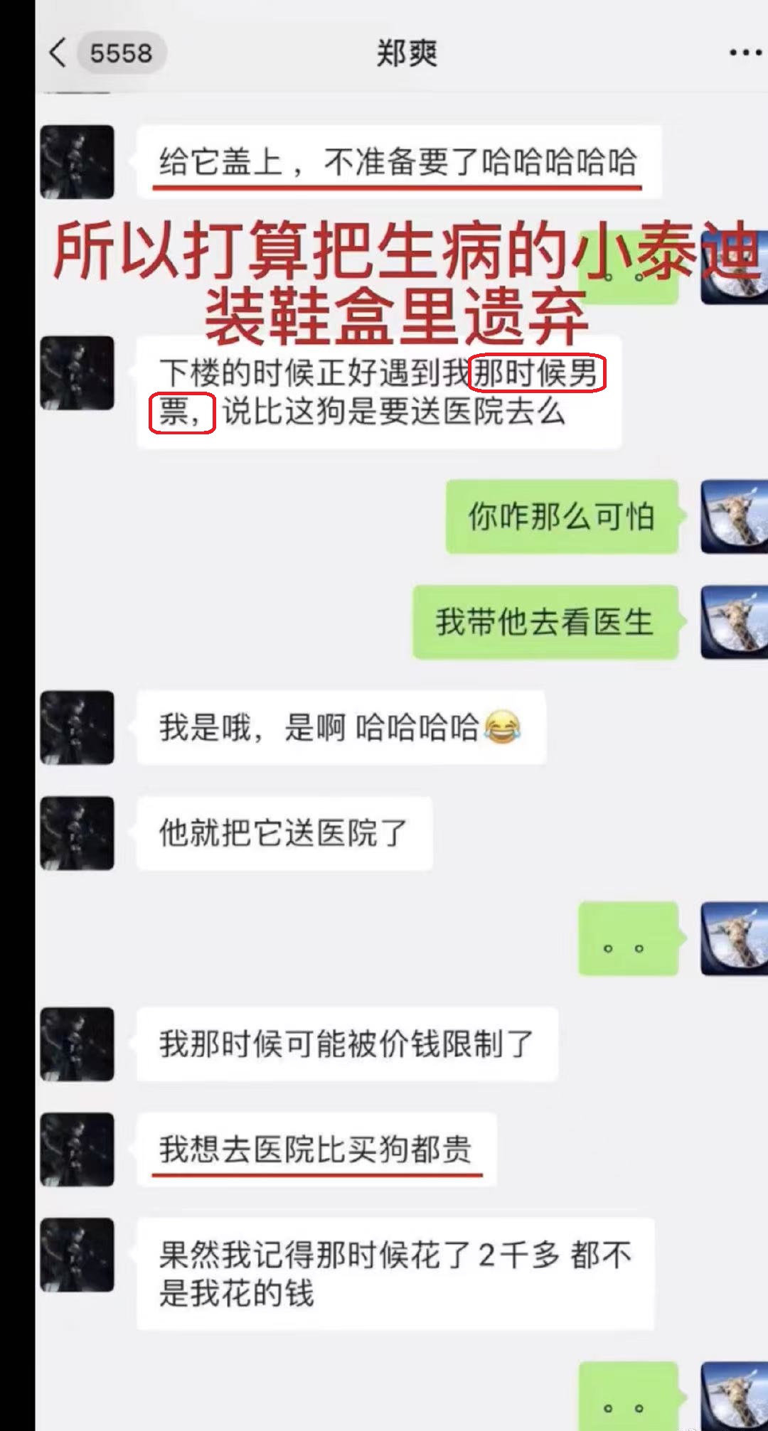 郑爽遗弃小狗是真的吗？胡彦斌你要的全拿走歌词含义是什么