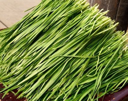 买韭菜宽叶细叶要分清两者区别很大买错口感大不同