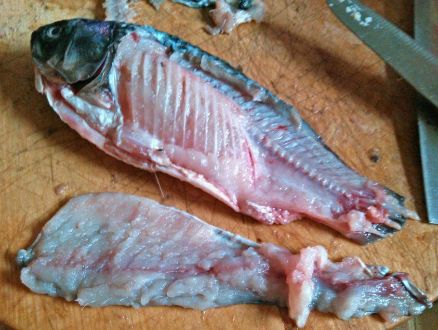 给鲫鱼剔刺很简单教你简便方法吃的时候更放心