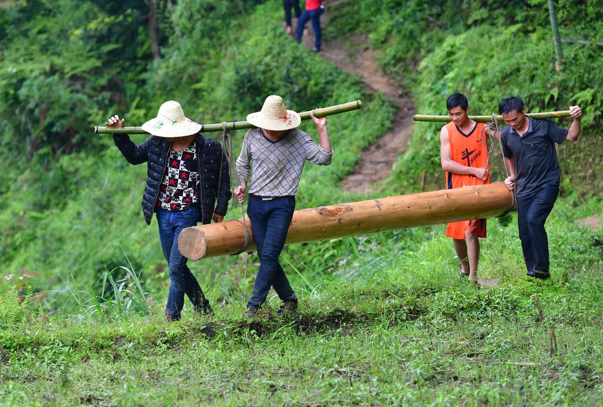 在黔桂乌英苗寨,群众在抬木头,准备建新木楼(2019年6月1日摄).