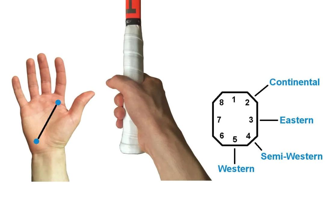 绝对网球读书笔记之十几种常见的握拍方式