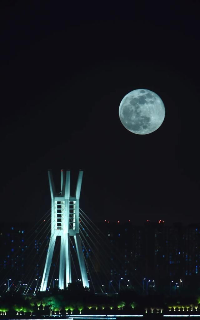 昨晚你看到超级月亮了吗