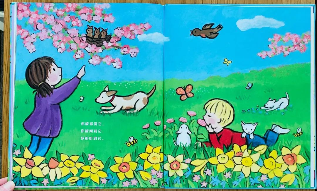 绘本分享:和孩子来一场春天主题的约会__财经头条