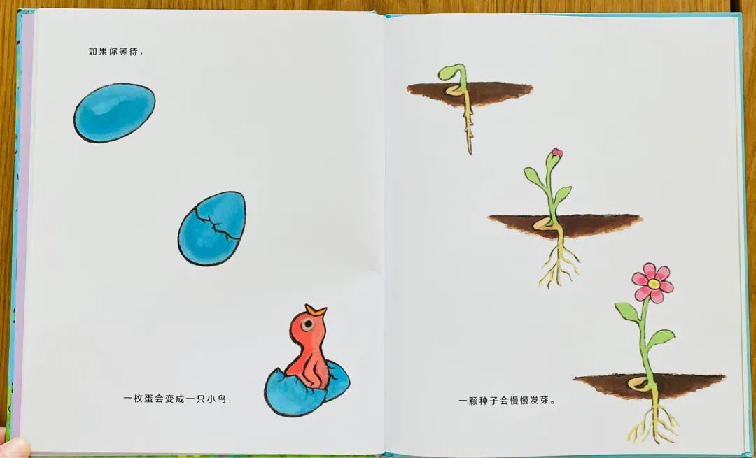 绘本分享和孩子来一场春天主题的约会
