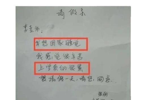 小学生为了不上课有多拼,“预知未来”的能力都有了,都是人才!休闲区蓝鸢梦想 - Www.slyday.coM