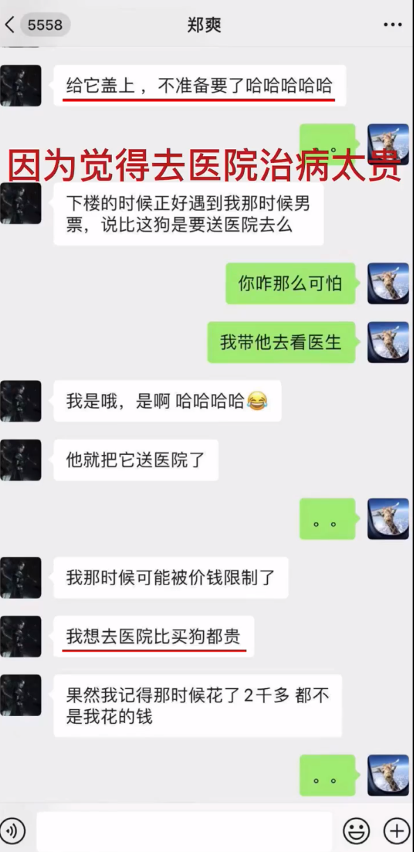 郑爽怎么还不坐牢 郑爽7年刑罚是怎么回事