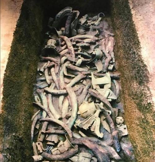 三星堆发现的100多根象牙哪来的山海经中的一段记载给出了答案