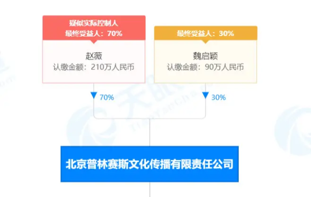 赵薇为什么被冻结数百万股权 赵薇发生了什么官司导致股权冻结