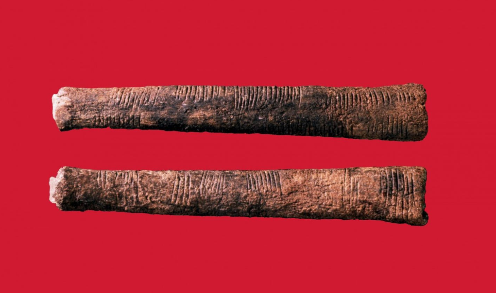 刚果发现两根骨头上面有谜样刻痕它是两万年前的计数工具