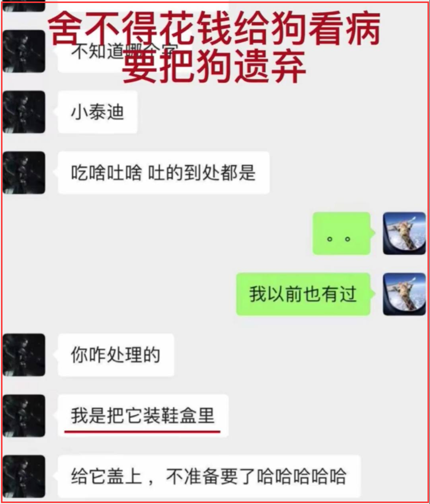 郑爽怎么还不坐牢 郑爽最高7年刑罚是怎么回事