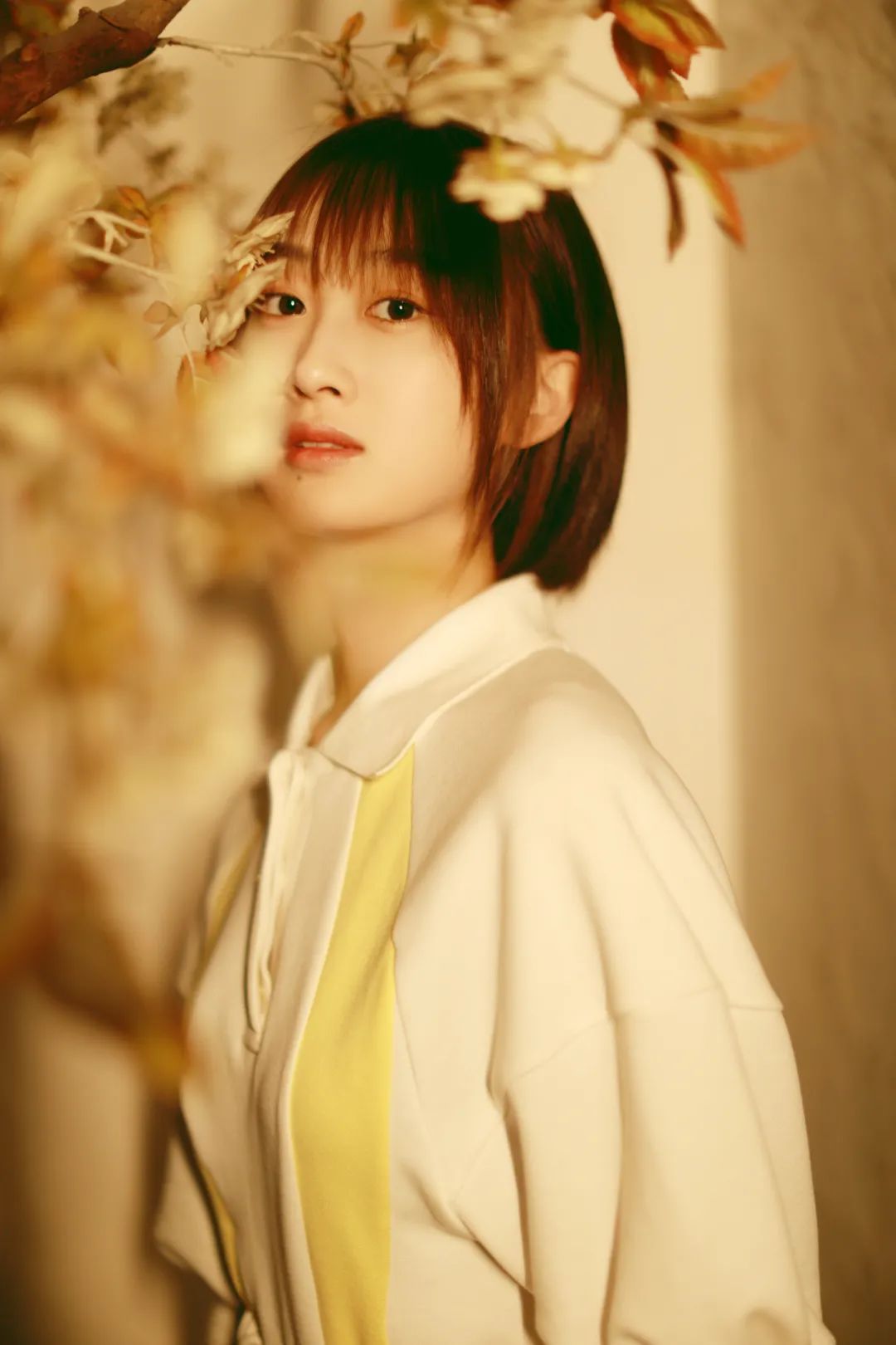 电影《瑞喜爱小白》5月9日母亲节上映 白妤霏演绎