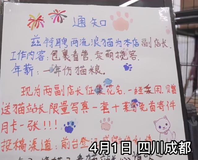 我寻思一只猫为了生活能有多拼？直到…它当上快递站副站长休闲区蓝鸢梦想 - Www.slyday.coM