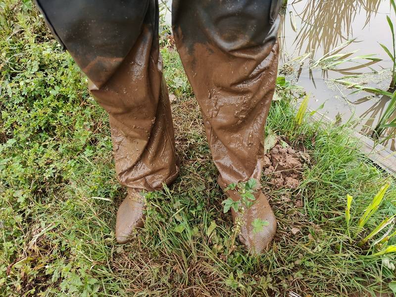 云南师宗:电力"泥腿子"(图)