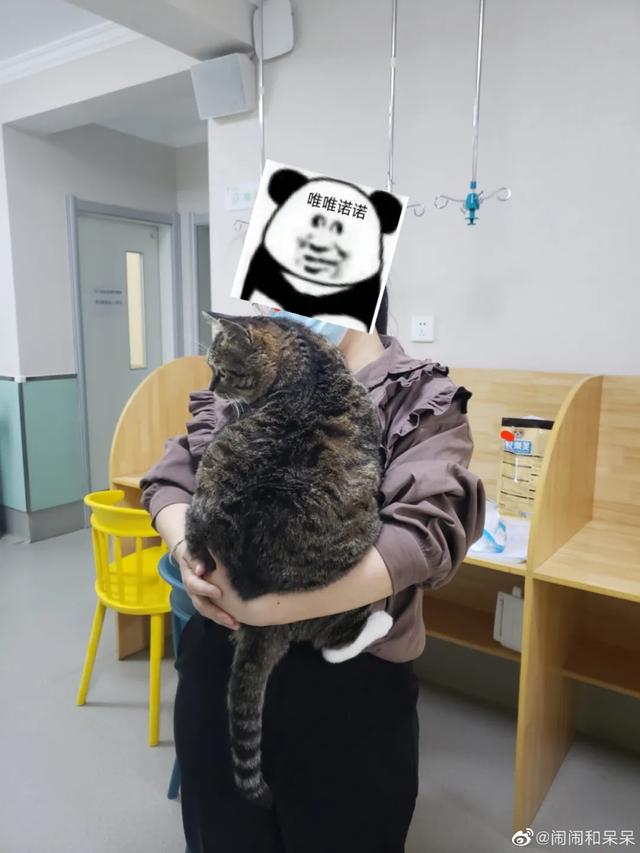 我寻思一只猫为了生活能有多拼？直到…它当上快递站副站长休闲区蓝鸢梦想 - Www.slyday.coM