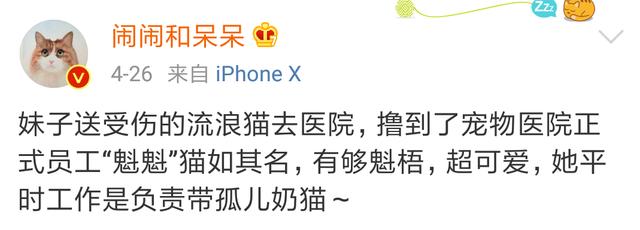 我寻思一只猫为了生活能有多拼？直到…它当上快递站副站长休闲区蓝鸢梦想 - Www.slyday.coM