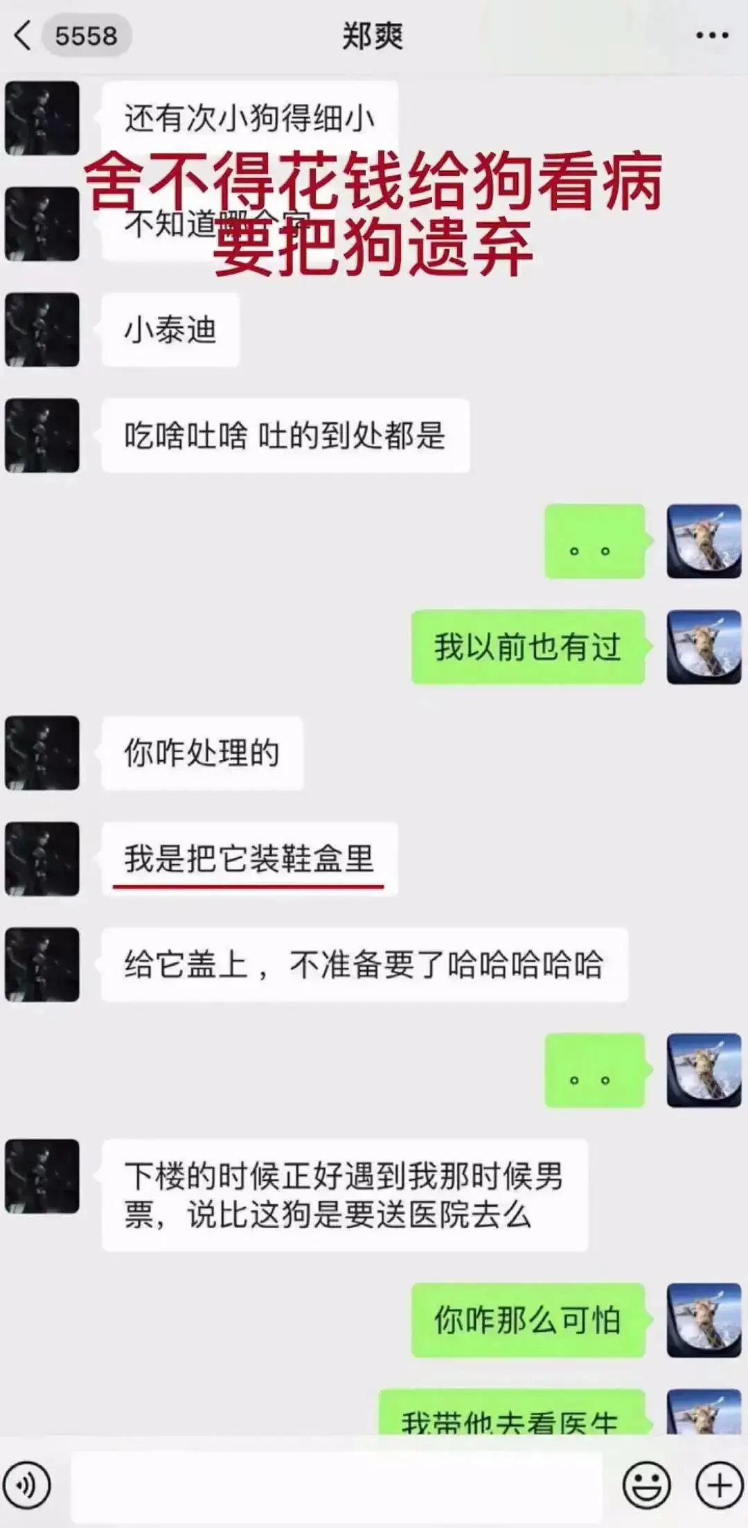 郑爽为什么片酬那么高 郑爽《倩女幽魂》天价片酬是怎么回事