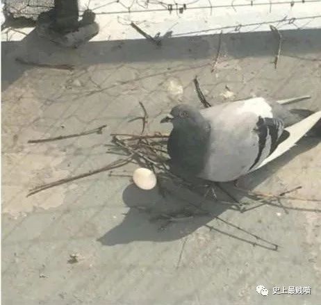 “现在的男人为了被包养可以有多拼？” 哈哈哈哈哈知道真相后差点跪了！休闲区蓝鸢梦想 - Www.slyday.coM