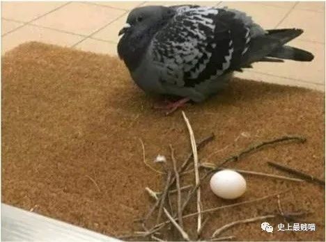 “现在的男人为了被包养可以有多拼？” 哈哈哈哈哈知道真相后差点跪了！休闲区蓝鸢梦想 - Www.slyday.coM