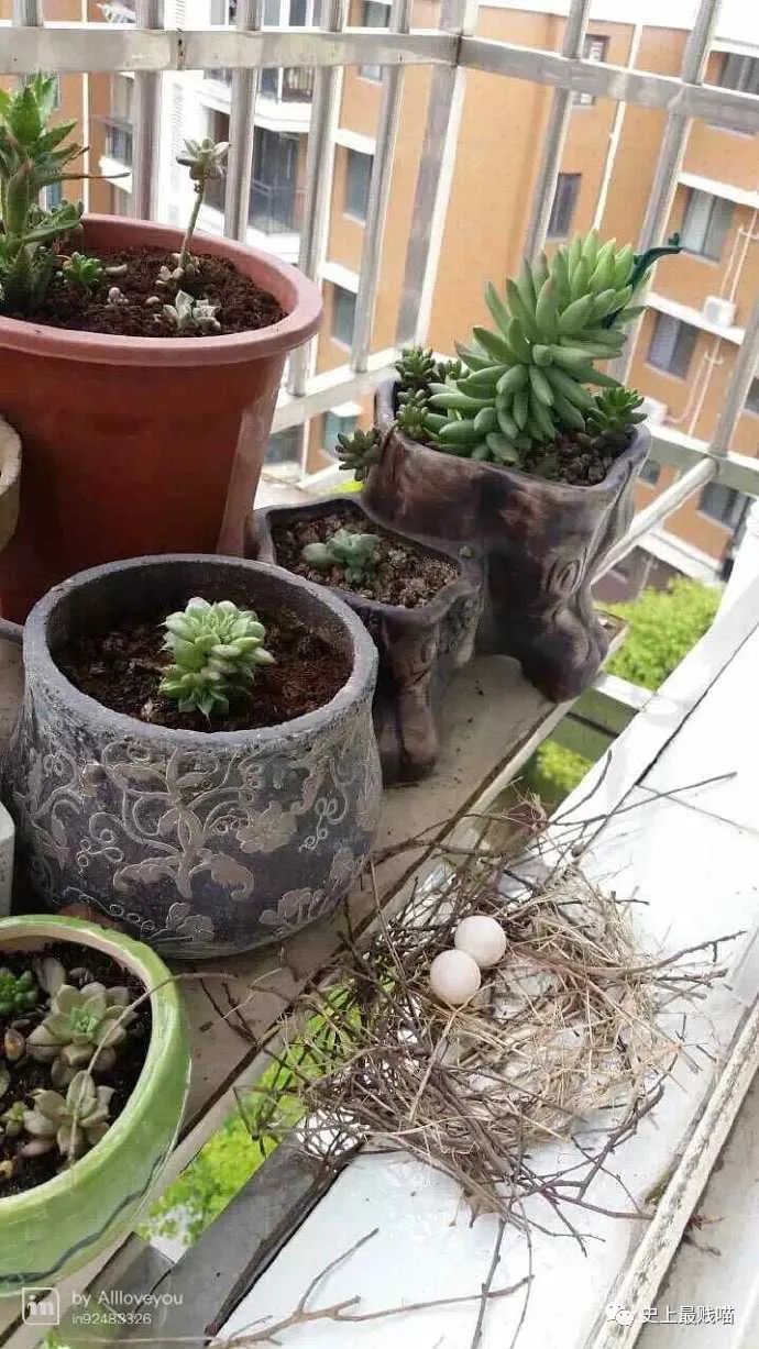 “现在的男人为了被包养可以有多拼？” 哈哈哈哈哈知道真相后差点跪了！休闲区蓝鸢梦想 - Www.slyday.coM