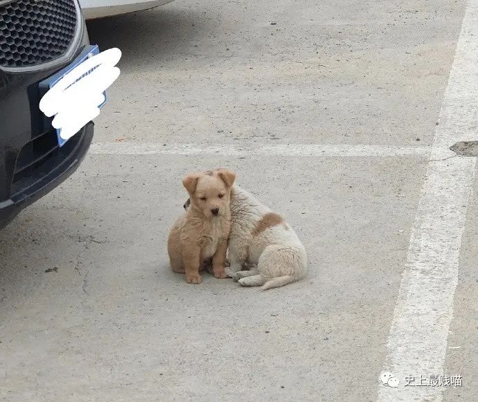 “现在的男人为了被包养可以有多拼？” 哈哈哈哈哈知道真相后差点跪了！休闲区蓝鸢梦想 - Www.slyday.coM