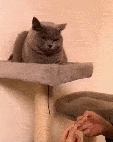 “现在的男人为了被包养可以有多拼？” 哈哈哈哈哈知道真相后差点跪了！休闲区蓝鸢梦想 - Www.slyday.coM