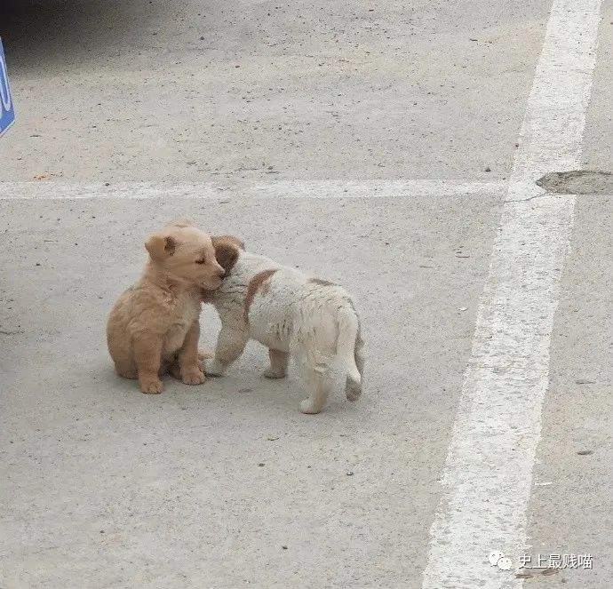 “现在的男人为了被包养可以有多拼？” 哈哈哈哈哈知道真相后差点跪了！休闲区蓝鸢梦想 - Www.slyday.coM