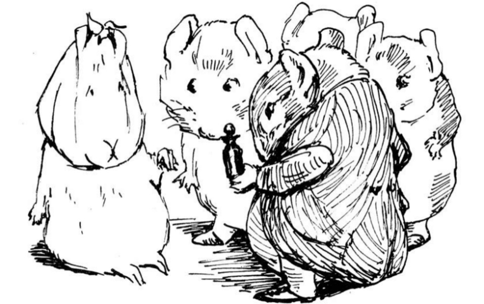 亲悦读彼得兔故乡的精灵大篷车首次抵达中国