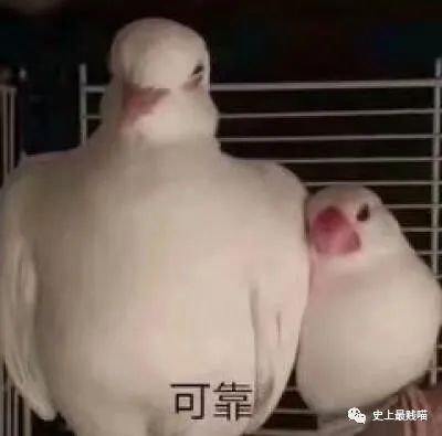 “现在的男人为了被包养可以有多拼？” 哈哈哈哈哈知道真相后差点跪了！休闲区蓝鸢梦想 - Www.slyday.coM