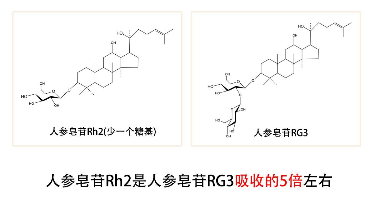 人参皂苷rg3对特需人群能起到哪些作用?