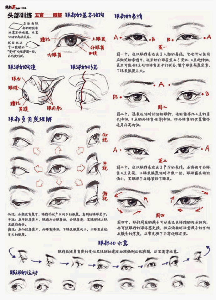 美术生人物速写学习资料关键词头部五官手