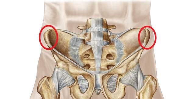 学会用髋跑步才能成为跑步高手|髋部|协调性|腰腹_新浪新闻