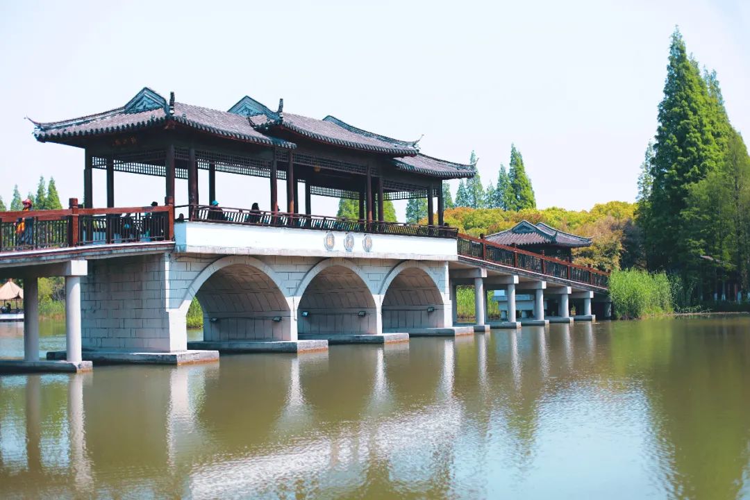 常熟沙家浜风景区又添新玩法啦|沙家浜风景区|常熟|手摇船_新浪新闻