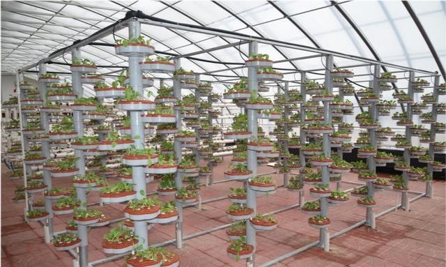 立体栽培模式引言关于蔬菜立体种植,主要是在温室大棚这样的农业设施