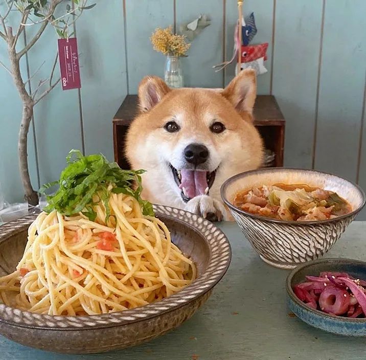 因为miyaashi_做的美食太精致了,看起来就让人忍不住想吃,而柚子又呆