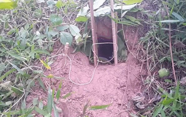 男子在洞口这样搞几根树枝跟线圈,老鼠出来就被套住了