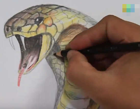 男子以假乱真绘画3d蛇特效测试后效果让人拍手称赞