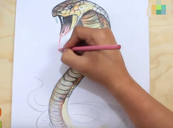 男子以假乱真绘画3d蛇特效测试后效果让人拍手称赞