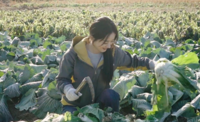 赵丽颖出身农村,小时候对于干农活也是司空见惯,因此在照片中可以看出