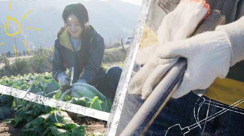 赵丽颖离婚后下地干活状态好满脸笑容动作麻利引路人围观