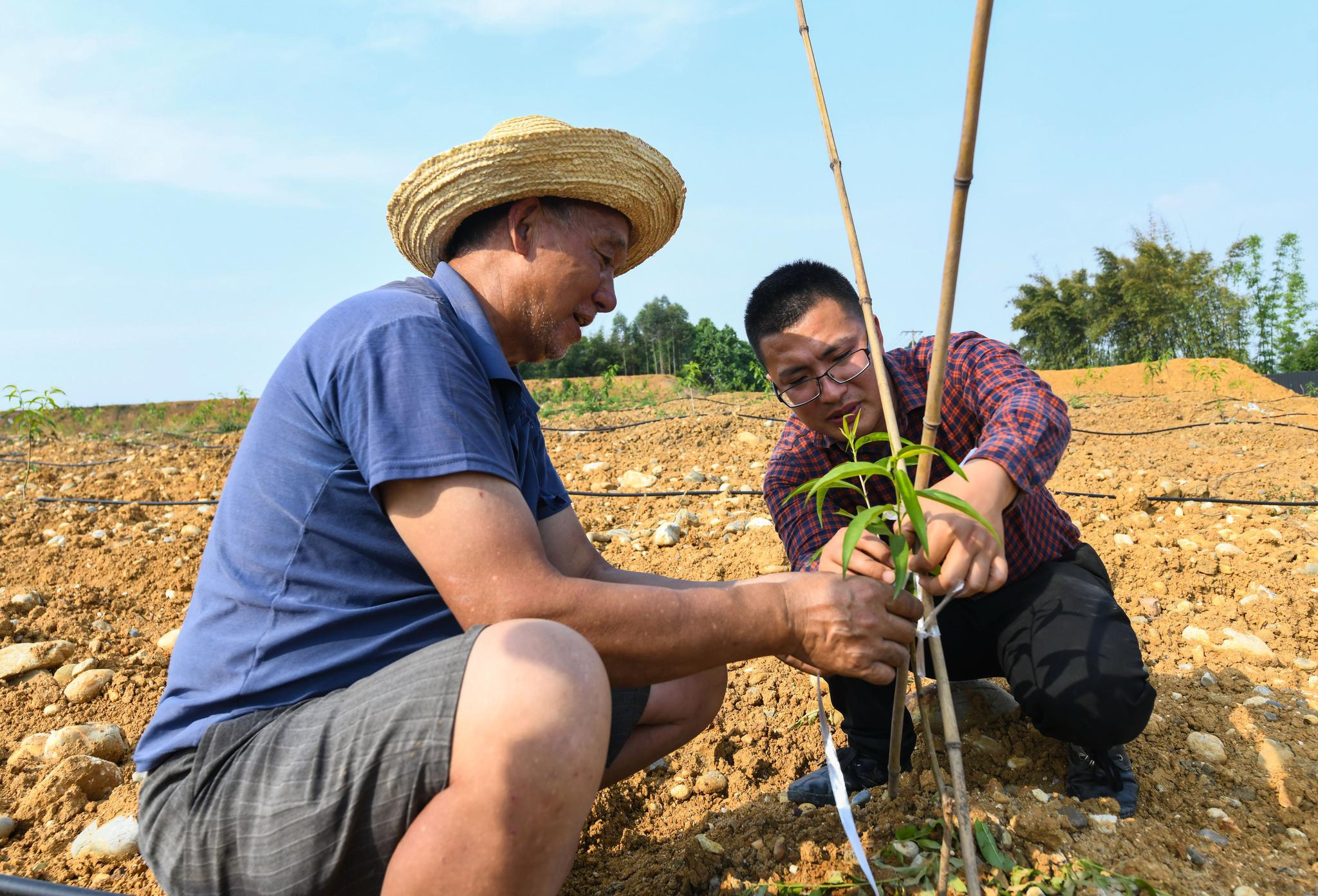 4月30日,在四川省彭山区公义镇新桥村,刘沈厅叮嘱
