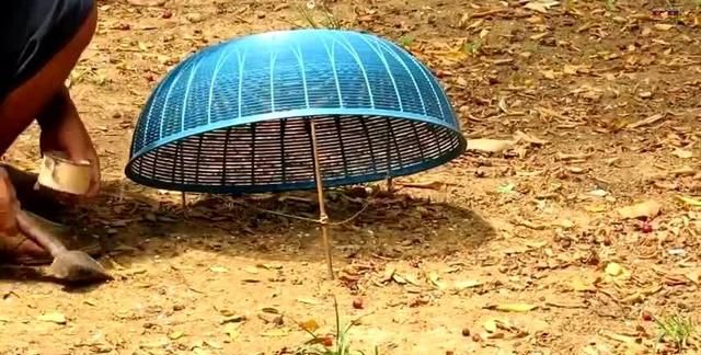 妻子受到外星人侮辱他发誓要捕猎外星人从此潜心研发捕猎陷阱