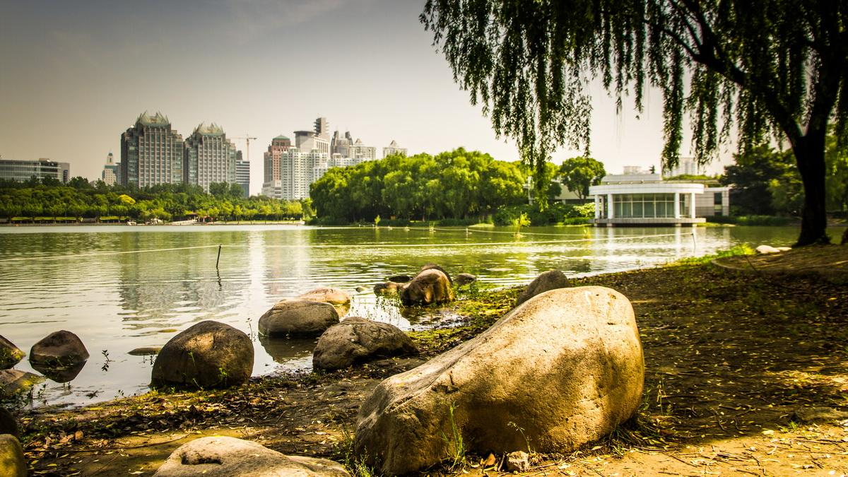 上海内环最大生态公园浦东的春游圣地门票只要十块钱