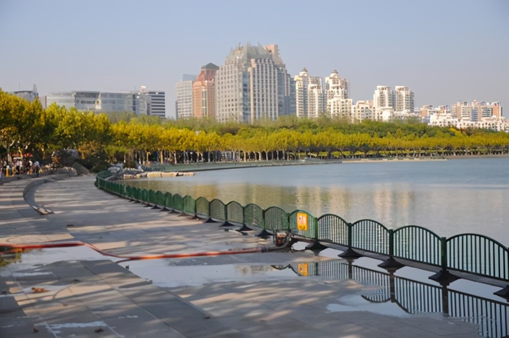 上海内环最大生态公园浦东的春游圣地门票只要十块钱