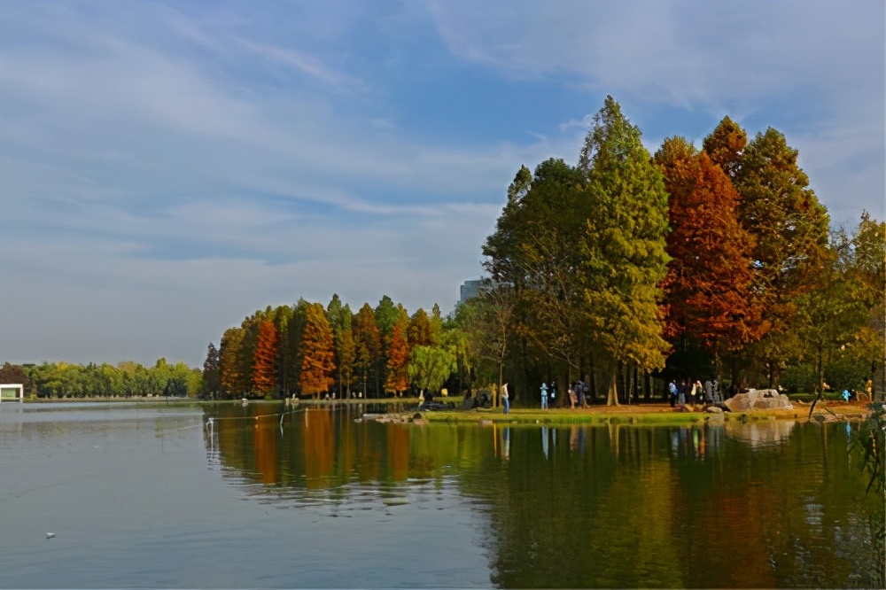 上海内环最大生态公园浦东的春游圣地门票只要十块钱