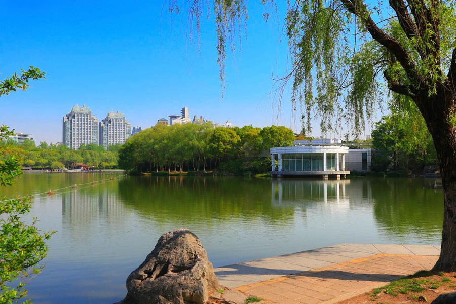 上海内环最大生态公园浦东的春游圣地门票只要十块钱