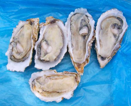 牡蛎和生蚝长得差不多为什么价格差那么多它们到底有何区别