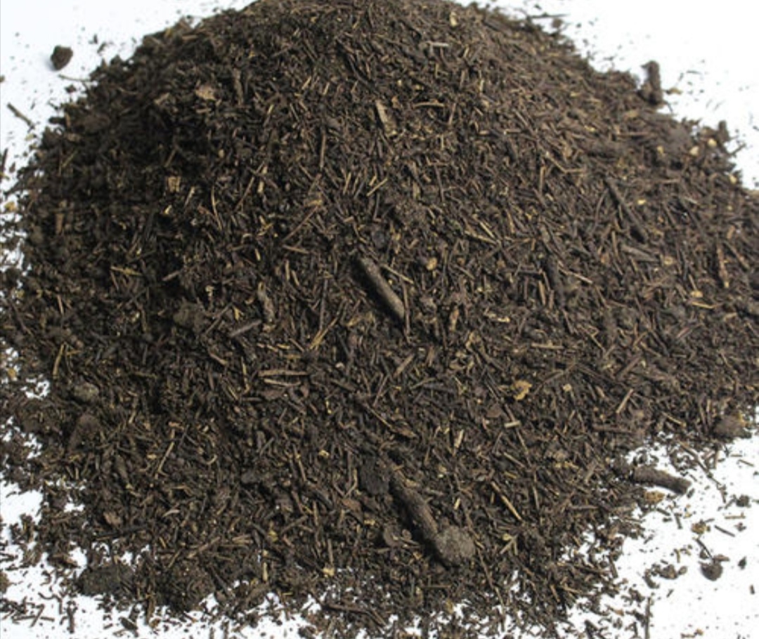 干松针采集后怎样处理才能用来养花教你松针土制作方法