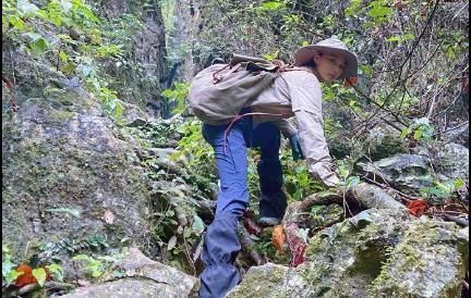 厉害张馨予野外探险徒手抓蛇自曝满身被咬包