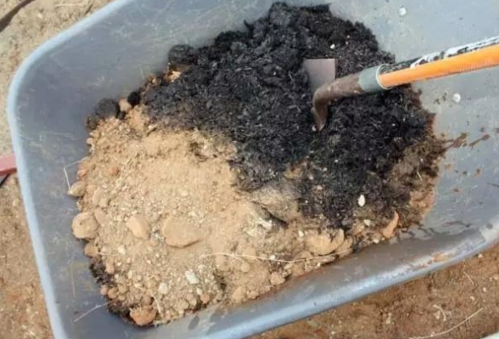 草木灰能不能养花有利就有弊